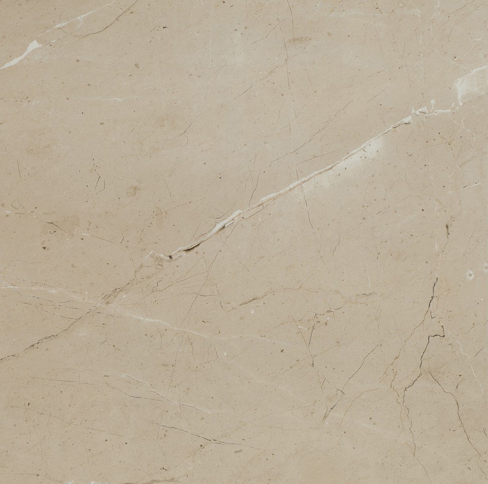 Status | Arcadia | Matte - Tile Depot NY